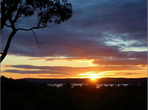 Herons Rise Vineyard Accommodation - Local Tourism 4