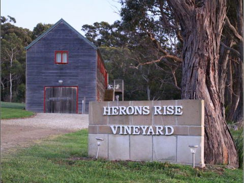 Herons Rise Vineyard Accommodation - Local Tourism 6