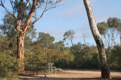 Drummonds Camp At Avon Valley National Park - Accommodation Australia 0