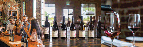 Trofeo Estate - Accommodation Australia 1