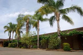 Darling Junction Motel - Accommodation Australia 2