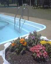 Gunning Motel - Accommodation Australia 2