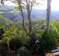 Mt Tamborine Motel - Accommodation Australia