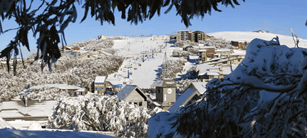 Alpine Ridge Lodge - Accommodation Australia