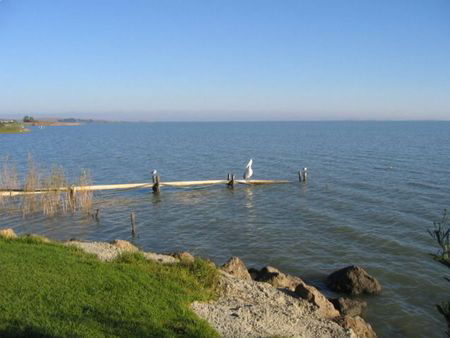 Lake Albert Caravan Park - Local Tourism 5