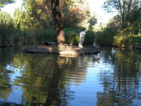 Lyndoch Hill Retreat - Accommodation Australia 2