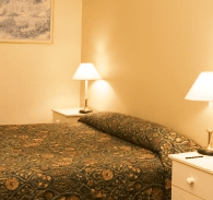 Best Western Abel Tasman Airport Motor Inn - Local Tourism