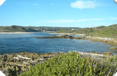 Arthur River Cabin Park - Local Tourism 5