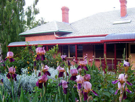 Donalea Bed & Breakfast - Accommodation Australia 0