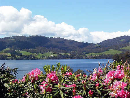 Donalea Bed & Breakfast - Accommodation Australia 1