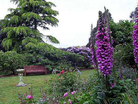 Donalea Bed & Breakfast - Accommodation Australia 4