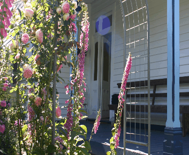 Devonport Bed And Breakfast - Local Tourism