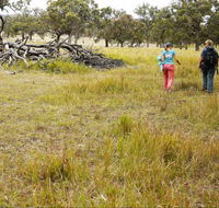 Carnarvon National Park camping - Accommodation Australia