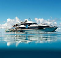 Bundaberg to Lady Musgrave Island Day Cruise - Local Tourism