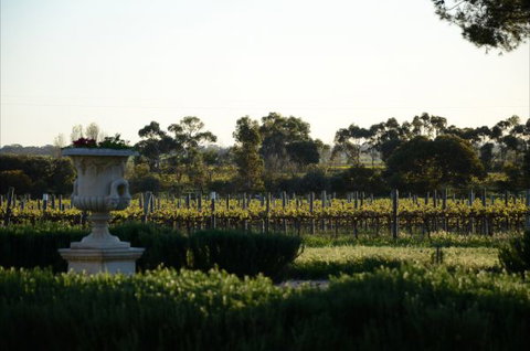 Angas Plains Estate Wines Heritage Suite - Accommodation Australia 6