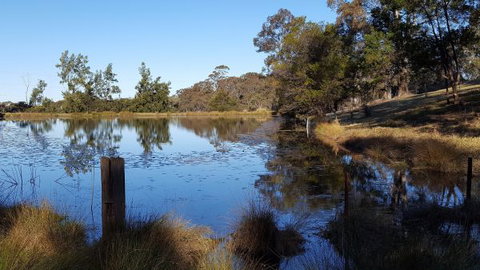 Blueberry Hills On Comleroy - Accommodation Australia 8