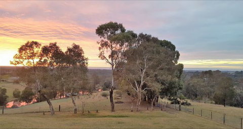 Blueberry Hills On Comleroy - Accommodation Australia 9