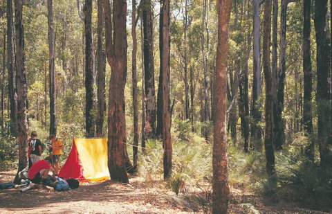 Nanga Mill Camp At Lane Poole Reserve - Accommodation Australia 0