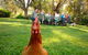 Baranduda Homestead B&B Cottages - thumb 9