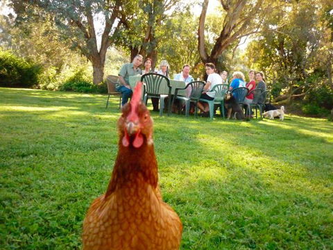 Baranduda Homestead B&B Cottages - Local Tourism 9