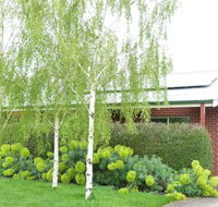 Birralee Cottage - Accommodation Australia
