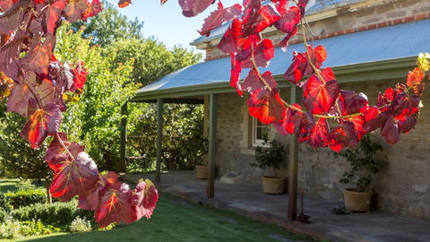 Grand Cru Estate Homestead - Local Tourism 0