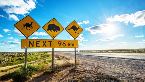 Nullarbor Roadhouse - Accommodation Australia 1