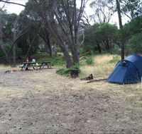 Allports Beach Camping Ground - Australia Shopping