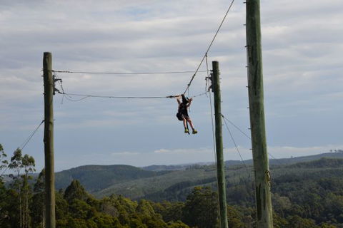 Allambee Camp - Local Tourism 3