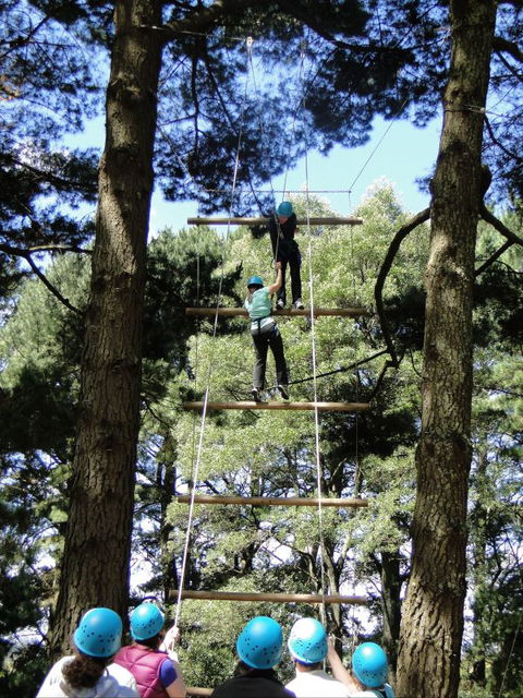 Allambee Camp - Local Tourism 9