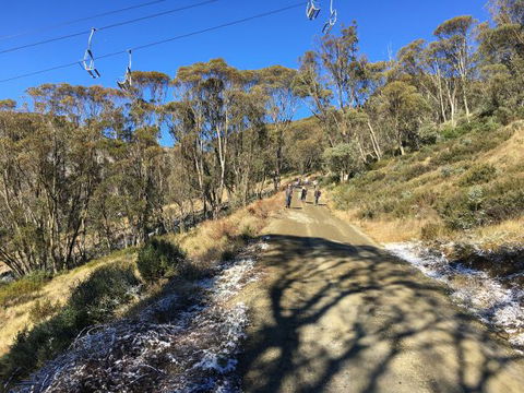 Arrabri Ski Club Hotham - Bed n Breakfasts 1