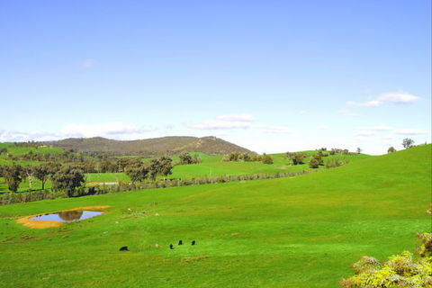 Winton Bethal Accommodation Unit - Local Tourism 3