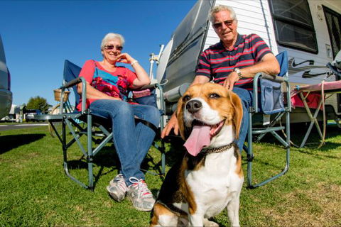 BIG4 Hopkins River Holiday Park - Local Tourism 7