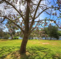 Breakaway Twin Rivers Caravan Park - Accommodation Australia