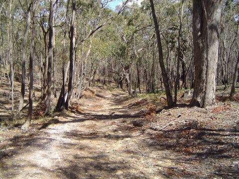 Bushmans Lookout - Local Tourism 3