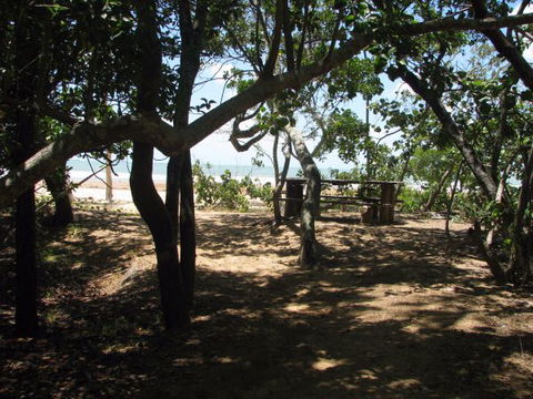 Cape Palmerston Holiday Park - Local Tourism 3