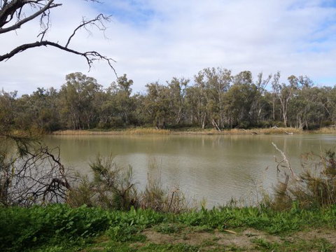 Chowilla Station Shearer's Quarters Accommodation - Accommodation Australia 1