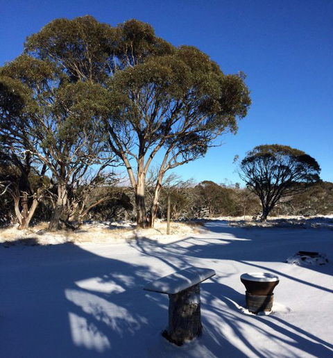 Cloud 9 Alpine Lodge - Local Tourism 9