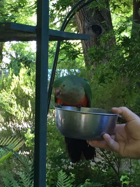 Colac Colac Caravan Park - Local Tourism 2