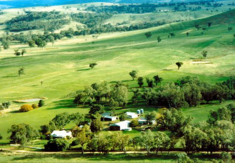 Daisyburn Homestead - Accommodation Australia 0