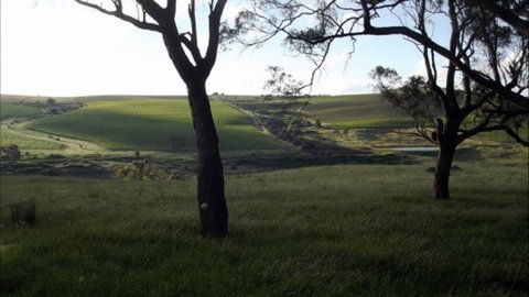 Dragonfly Cottages - Accommodation Australia 2