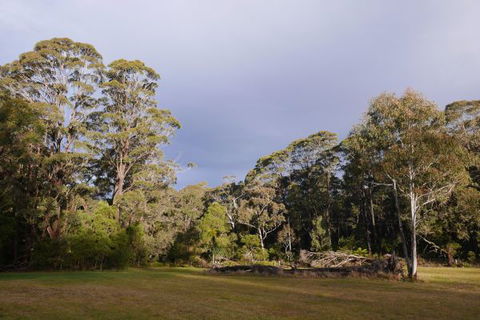 Fernhill Chestnut Farm - Australia Shopping 2