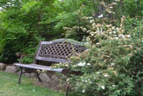 Garden Cottage B And B - Local Tourism 4