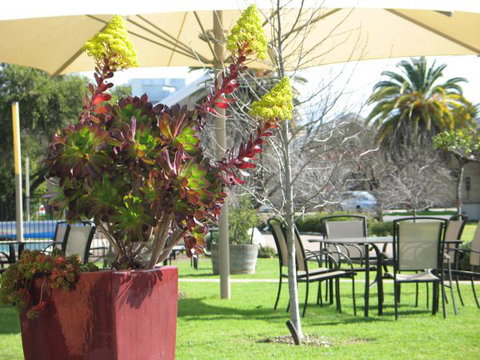 Golden Chain Wine Village Motor Inn - Accommodation Australia 3