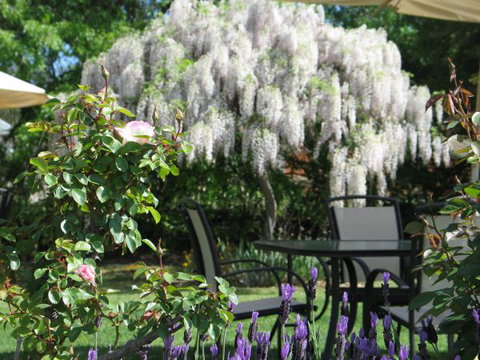 Golden Chain Wine Village Motor Inn - Accommodation Australia 5