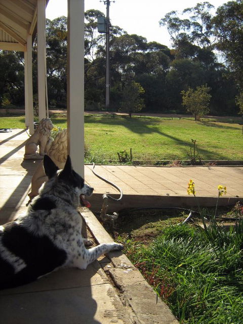 Great Grandpa Henry Retreat - Accommodation Australia 4