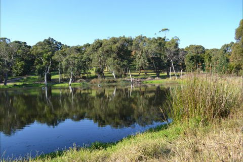 Iluka Retreat And Camp - Local Tourism 2