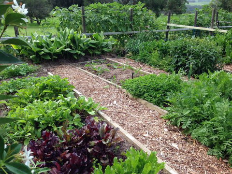 Jamberoo Valley Farm - Local Tourism 3