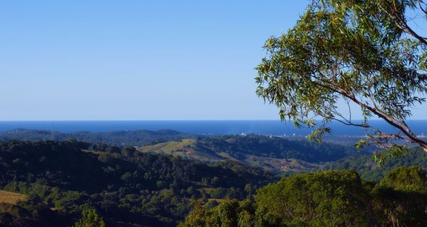 Carool NSW Local Tourism