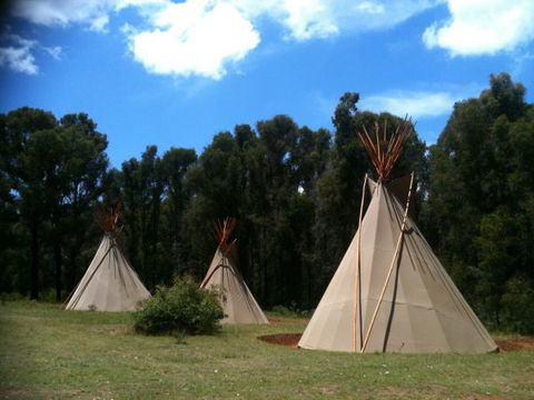 Kinglake Forest Adventures Camp - Local Tourism 0